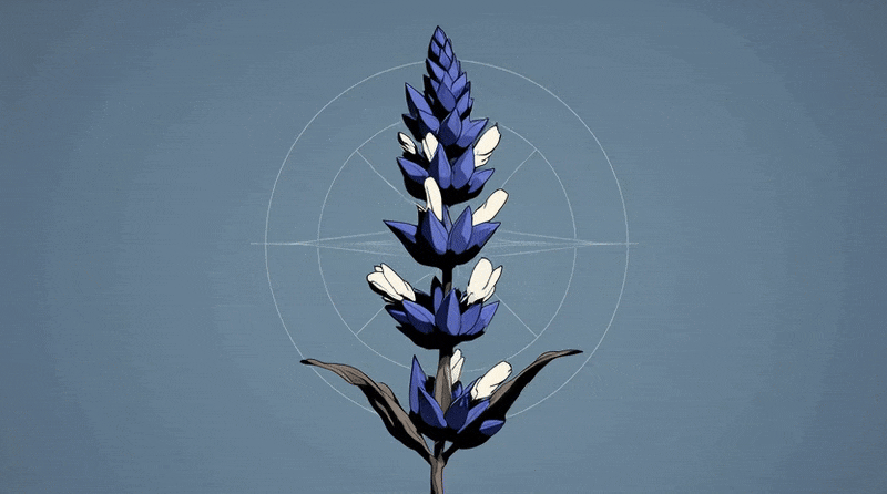 Anatomy of aesthetics - the strategic, almost invisible layer behind how things feel