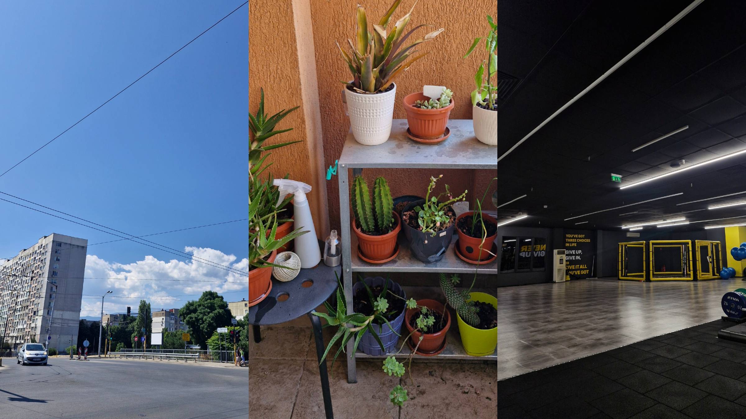 Weekly insights - last issue before a week off, prepping systems to keep ticking while away