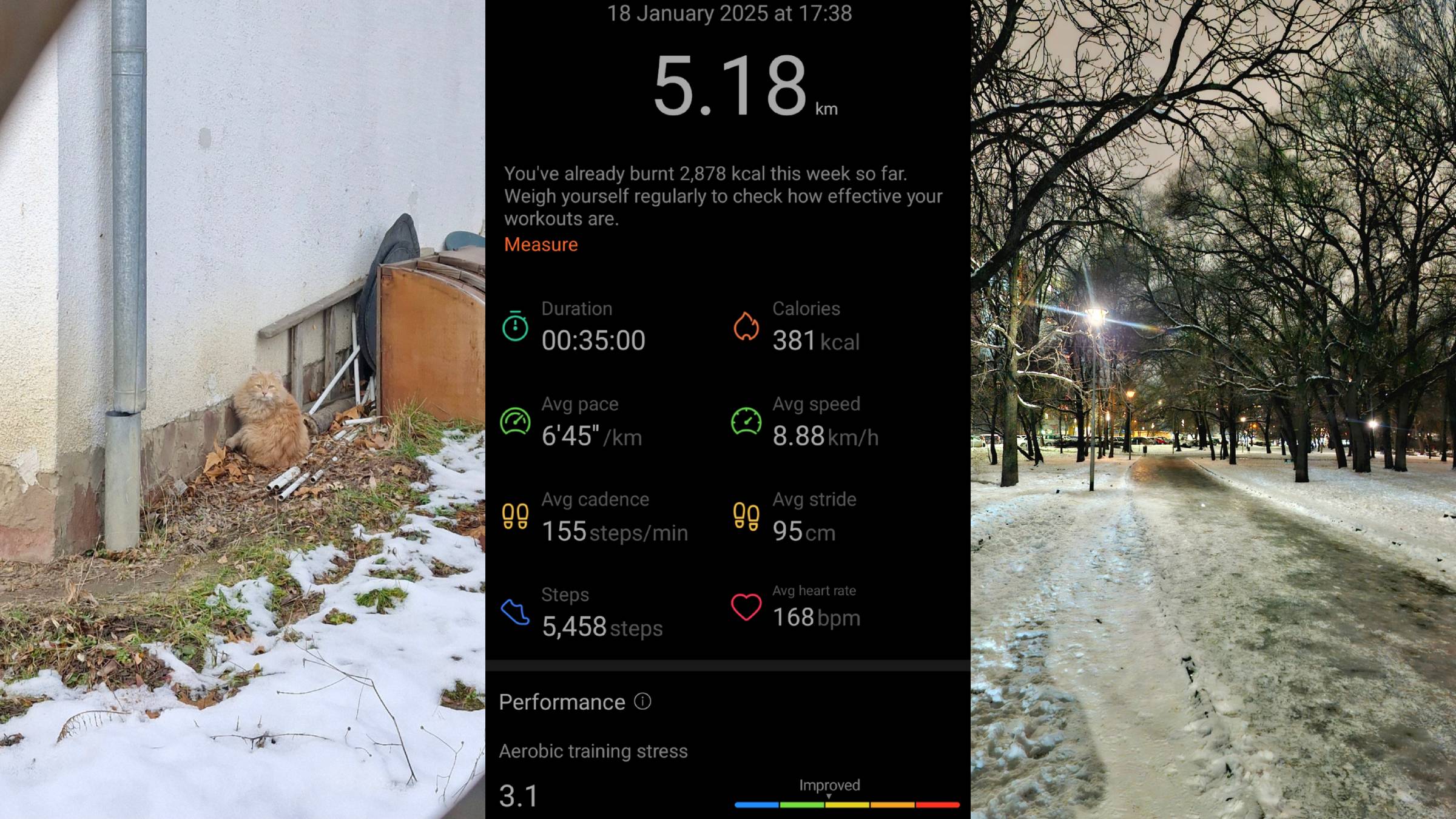 A rather calm week with some steady work and rest - and a new personal best on the 5K