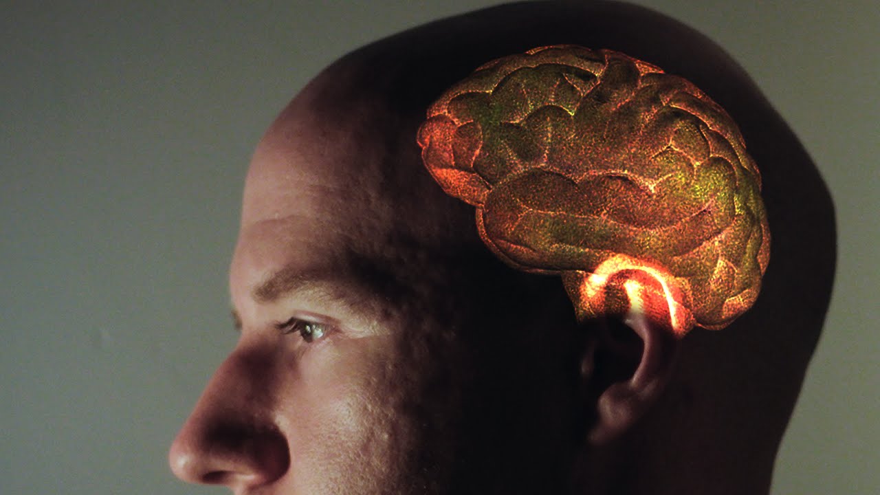 How to cure brain rot - by Better Ideas