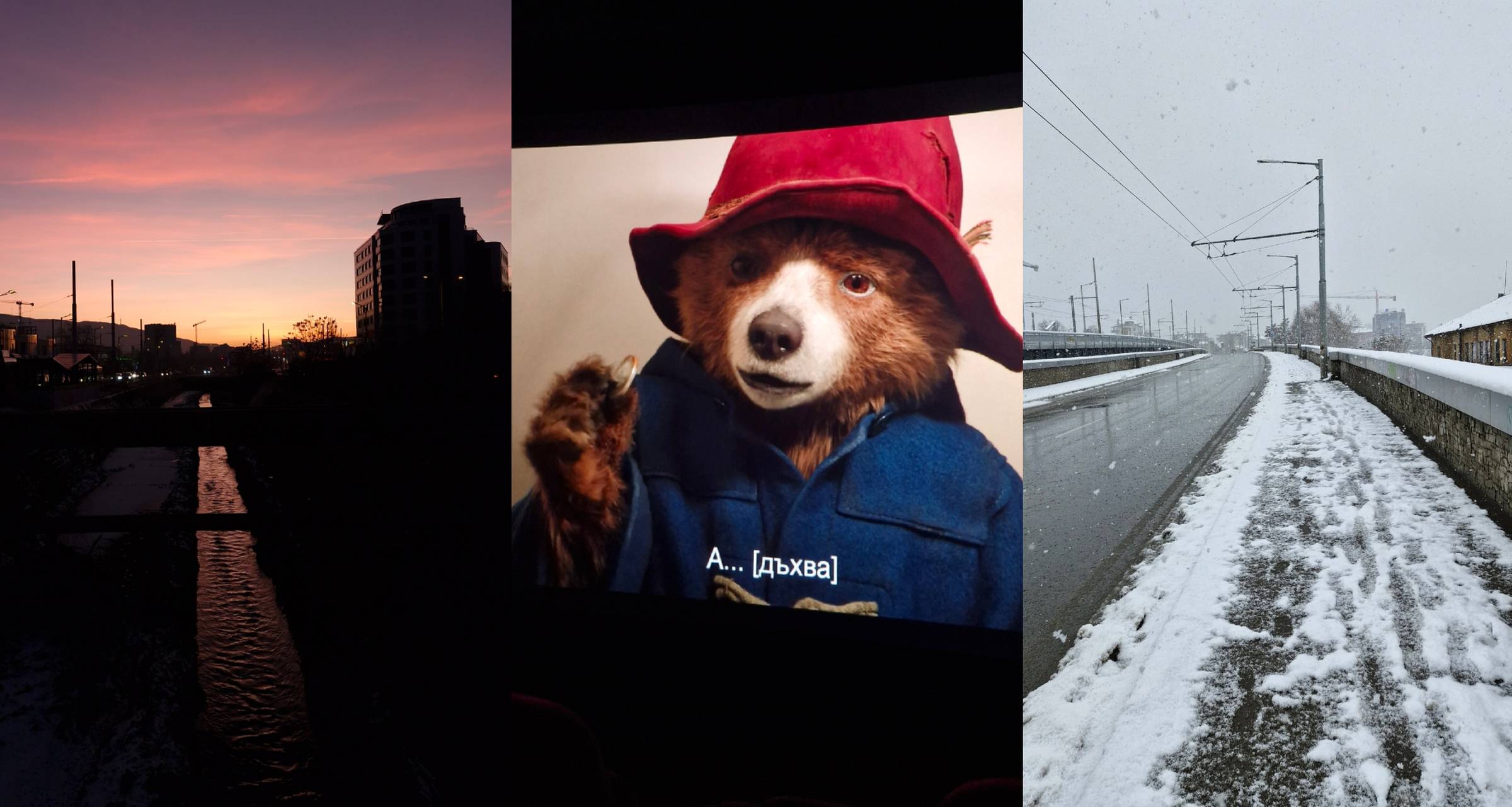 Some memos from the past week - winter in Sofia going hard, and "Paddington in Peru" kicking off the cinematic year
