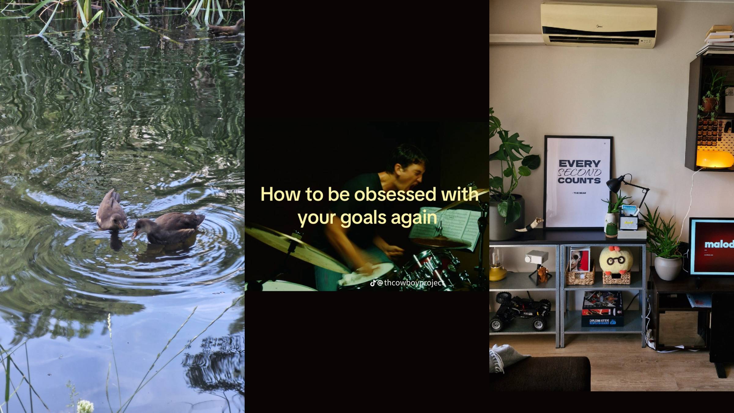 Weekly insights - chasing intentional downtime and a half-marathon goal for October