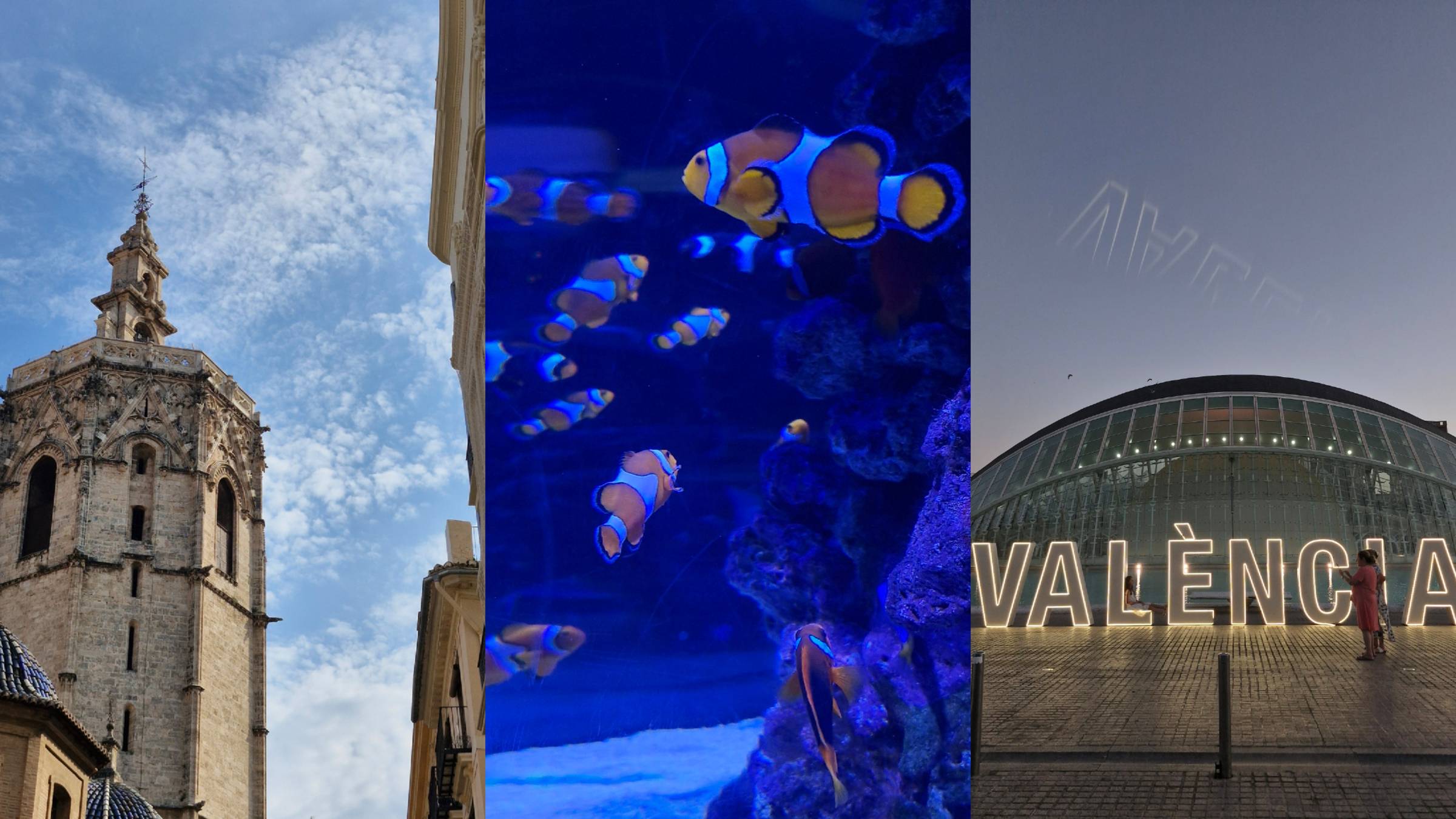 Weekly insights - fresh back from a few sunny days in Valencia, Spain